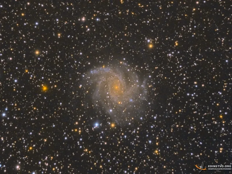 Галактика «Фейерверк» (NGC 6946)