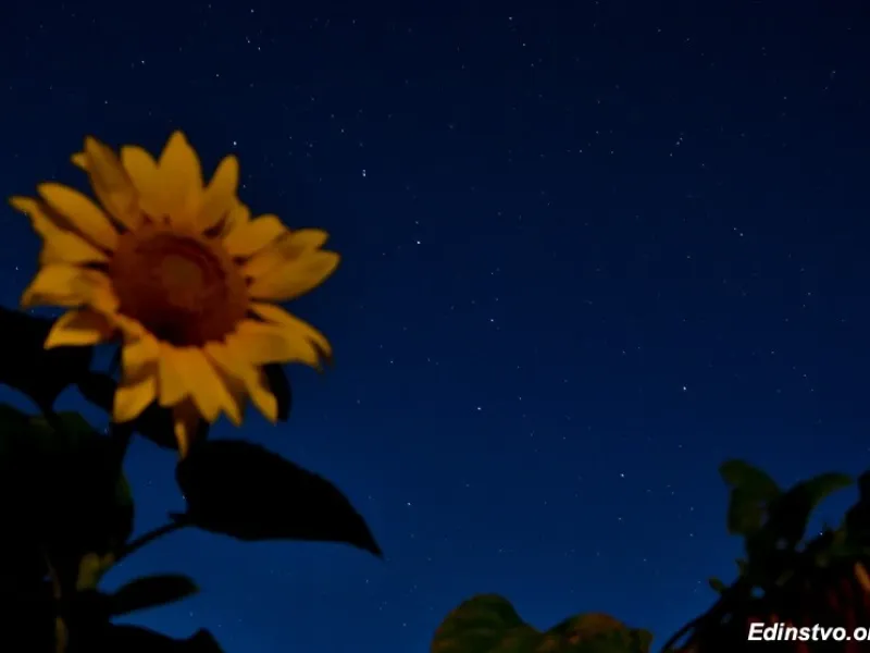 Как фотографировать звёздное небо. Руководство