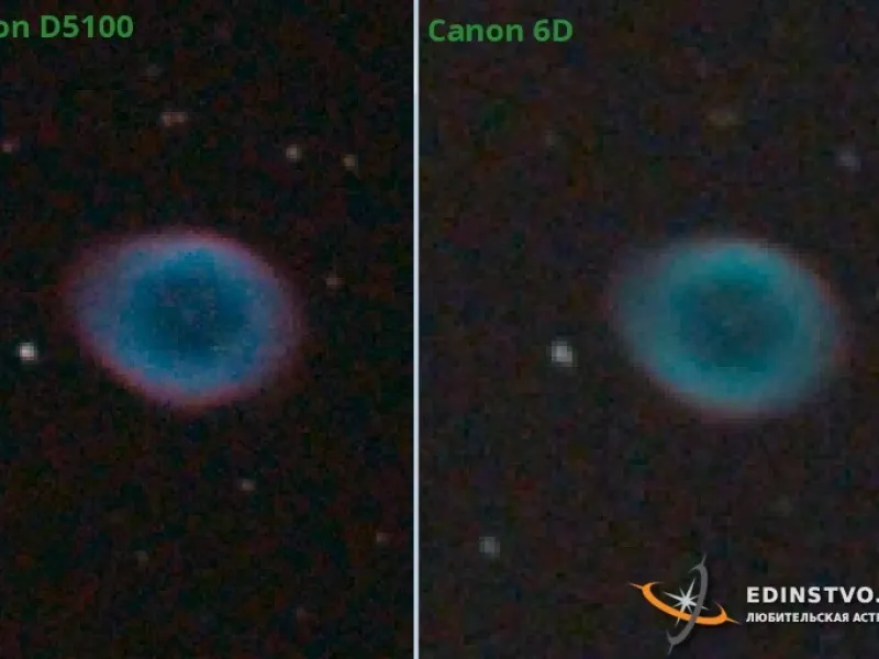 Сравнение Nikon D5100 и Canon 6D