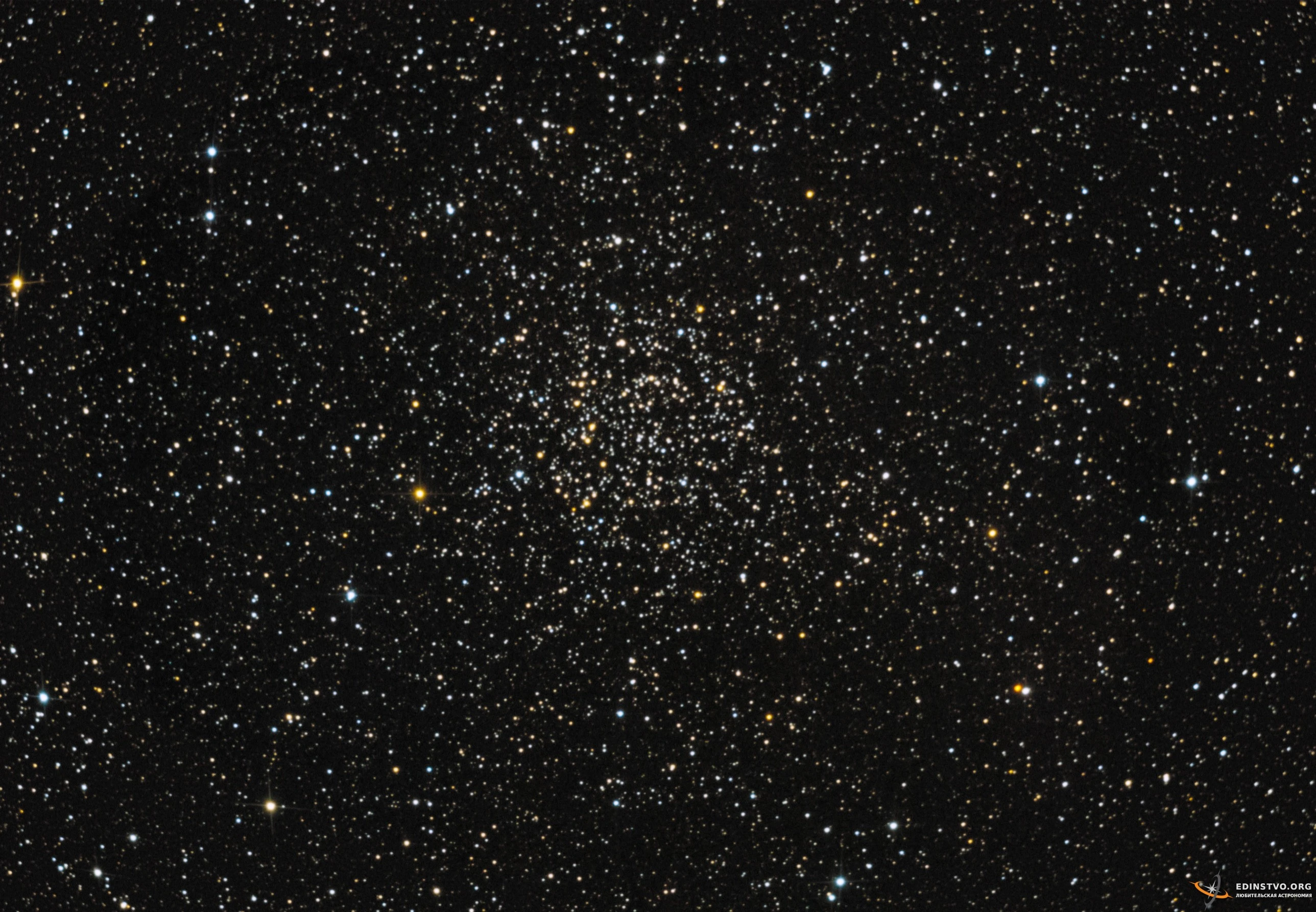 «Роза Каролины» в Кассиопее NGC 7789 «Роза Каролины» в Кассиопее NGC 7789