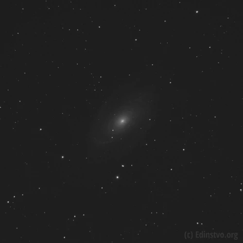 M81 M81